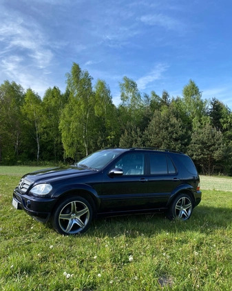 Mercedes-Benz ML cena 38500 przebieg: 242465, rok produkcji 2003 z Wolbrom małe 254